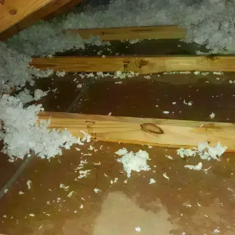 Attic Water Damage in Afton, OK