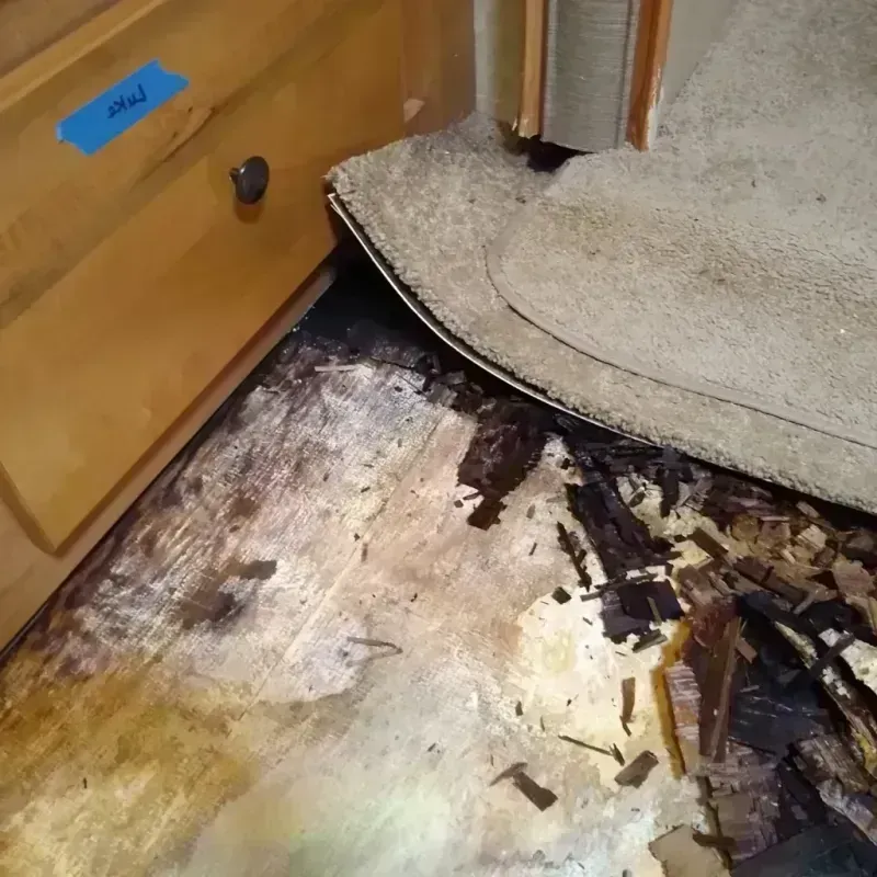 Best Wood Floor Water Damage Service in Afton, OK